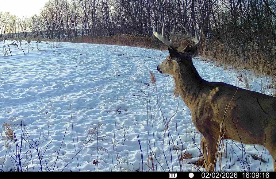 COUNTY ROAD E, Steuben, WI 54657 - #2