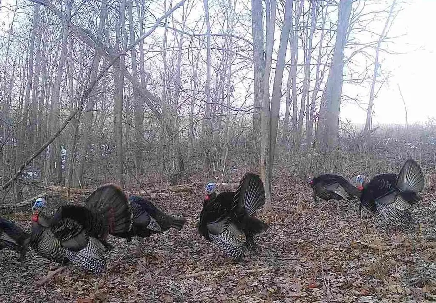 COUNTY ROAD E, Steuben, WI 54657 - #3