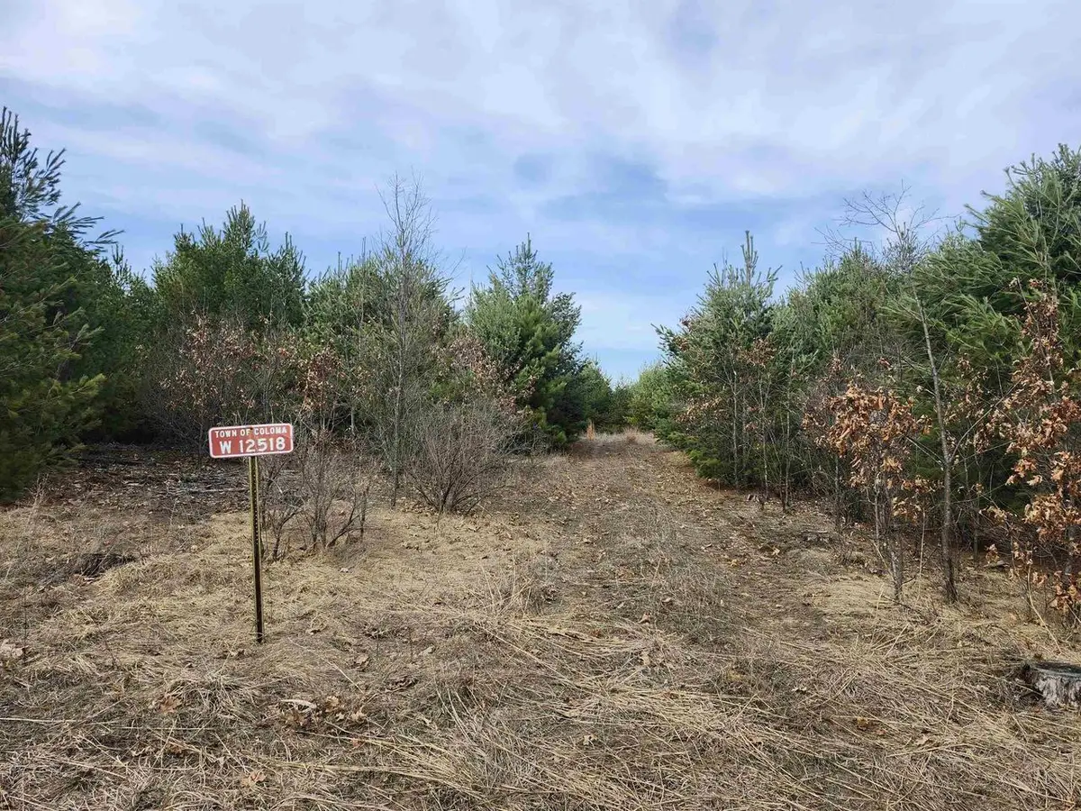 00 CZECH AVENUE, Coloma, WI 54930 - #1