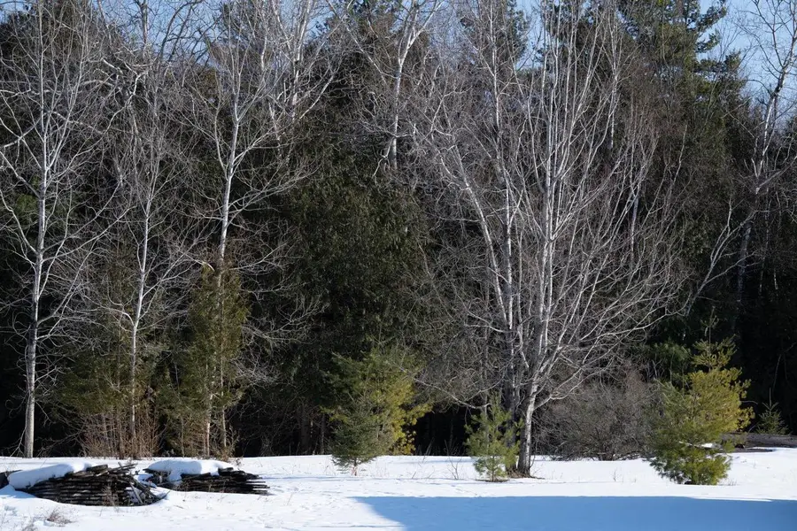 COUNTY RD F, Fish Creek, WI 54212 - #3