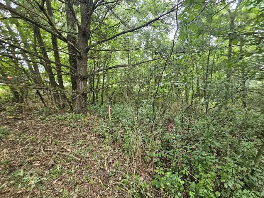 HIGH ROAD, Wild Rose, WI 54984 - #3