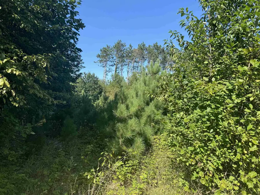 LAKE DRIVE, Gresham, WI 54128 - #3