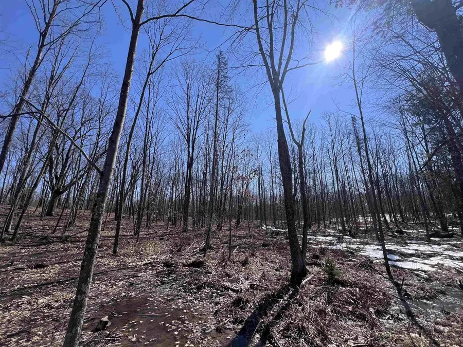 RHETT LANE, Wausaukee, WI 54177 - #2