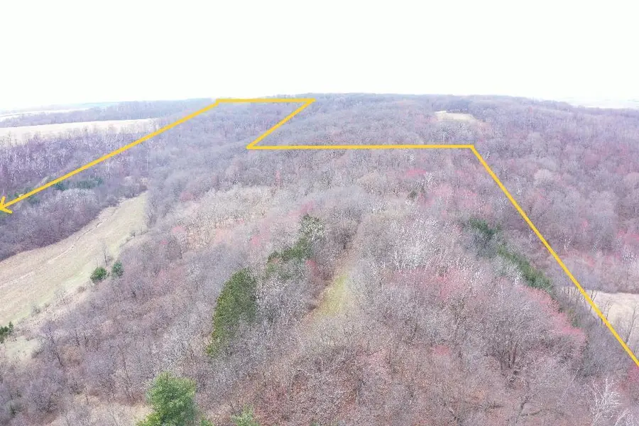 E2952 VOSEN LANE, La Valle, WI 53941 - #3