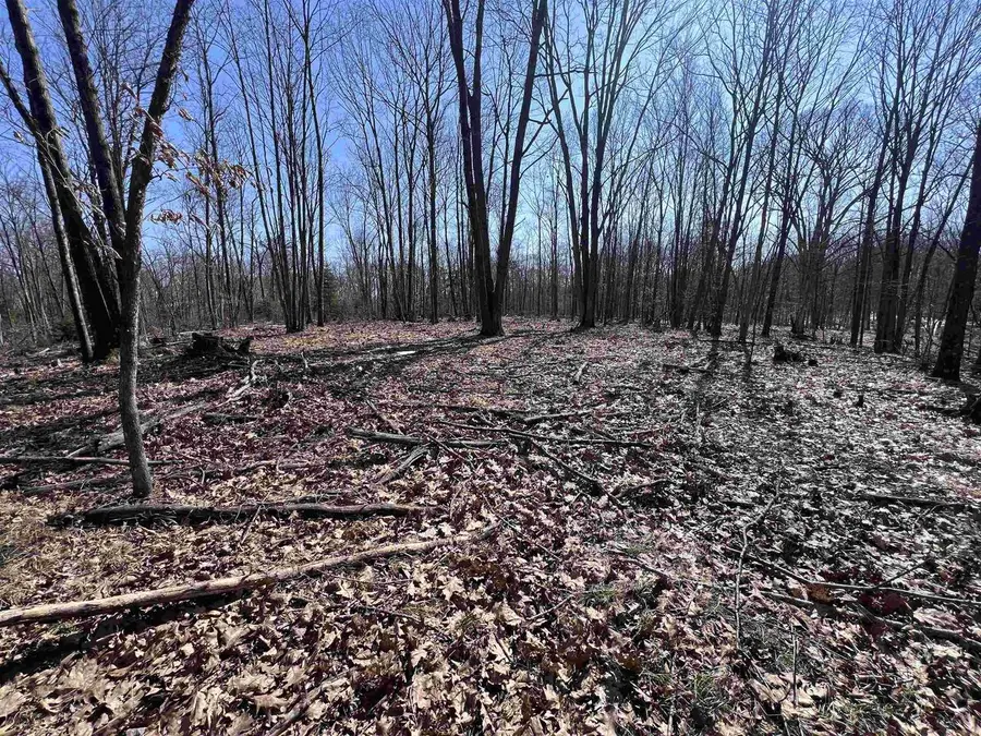 RHETT LANE, Wausaukee, WI 54177 - #3