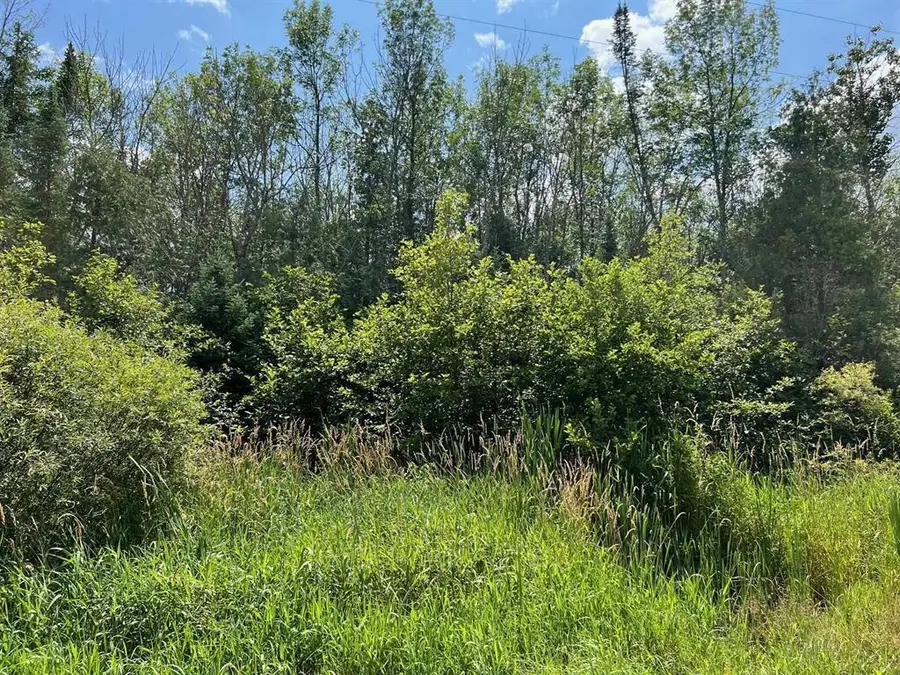 ADERMAN LANE, Daggett, MI 49821 - #2