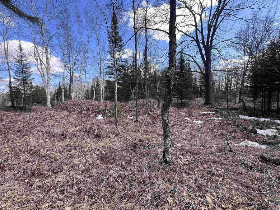 NEJEDLO ROAD, Wausaukee, WI 54177 - #3