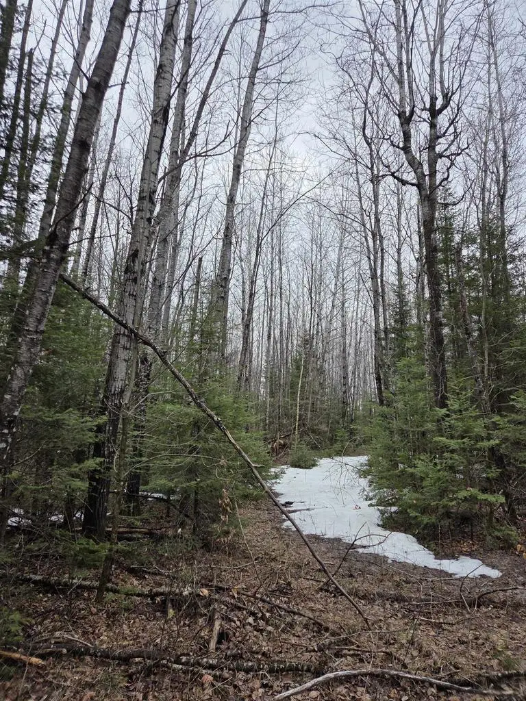 COUNTY ROAD K, Amberg, WI 54102 - #3