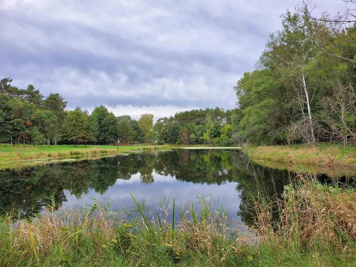 1000 COUNTY ROAD QQ, Waupaca, WI 54981 - #1