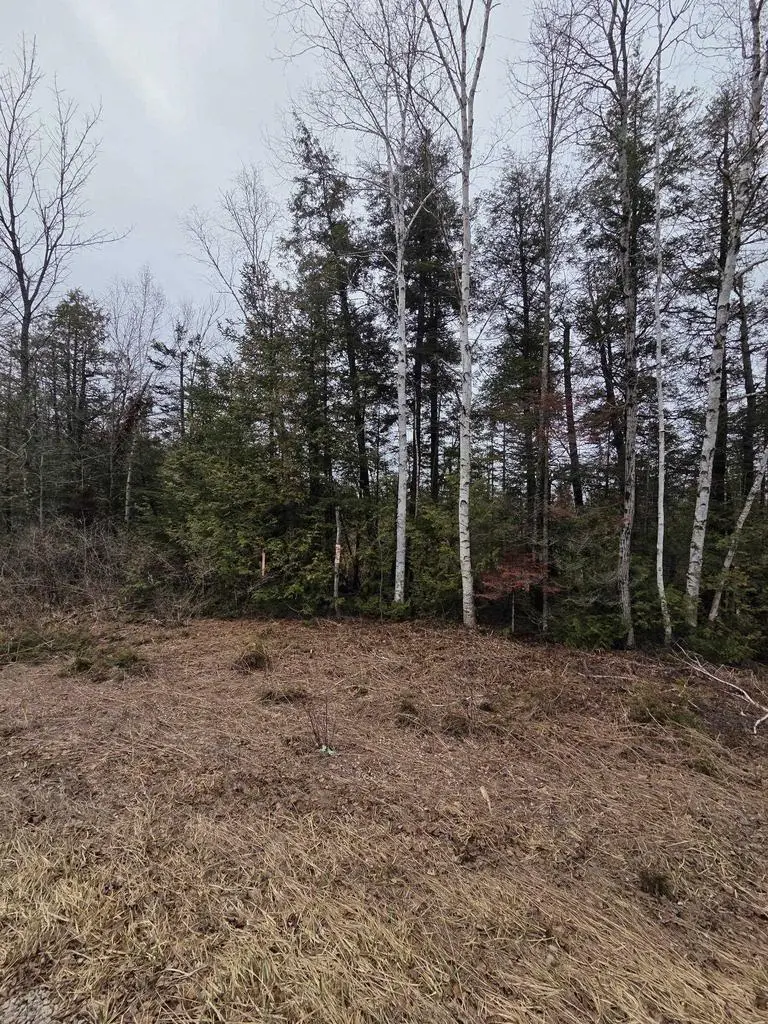 COUNTY ROAD G, Porterfield, WI 54159 - #1