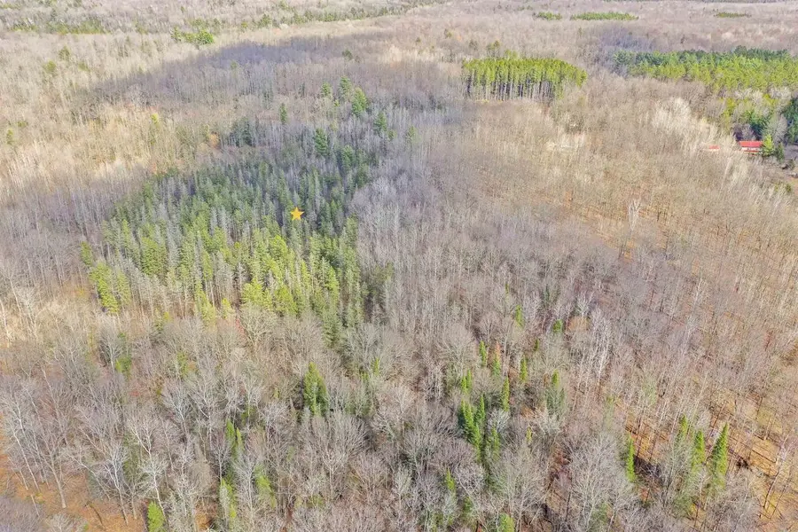 BUETTNER ROAD, White Lake, WI 54491 - #2