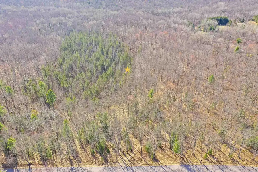 BUETTNER ROAD, White Lake, WI 54491 - #3