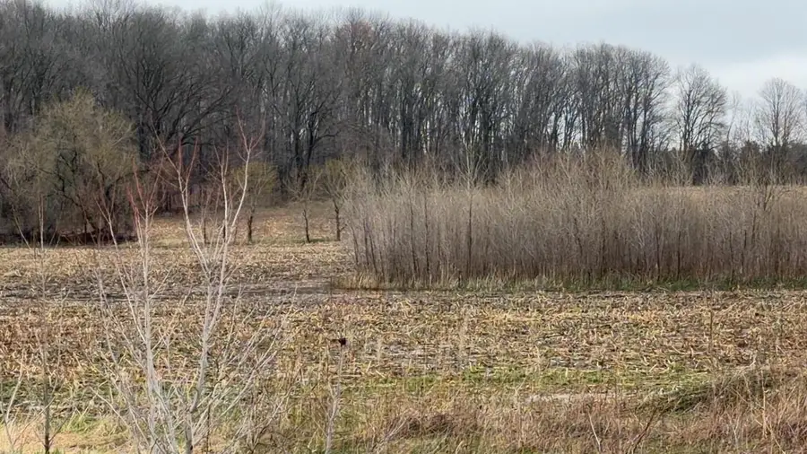 US 45, Fremont, WI 54940 - #2