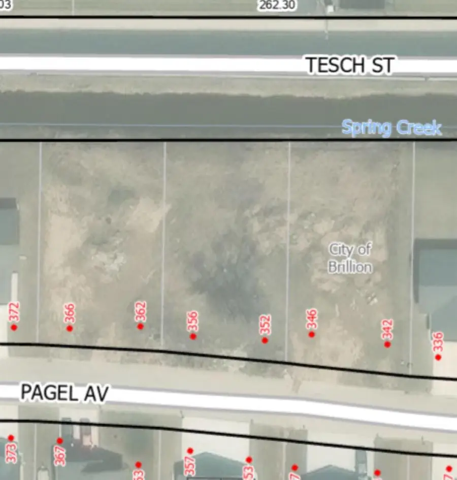 356 PAGEL AVENUE, Brillion, WI 54110 - #3