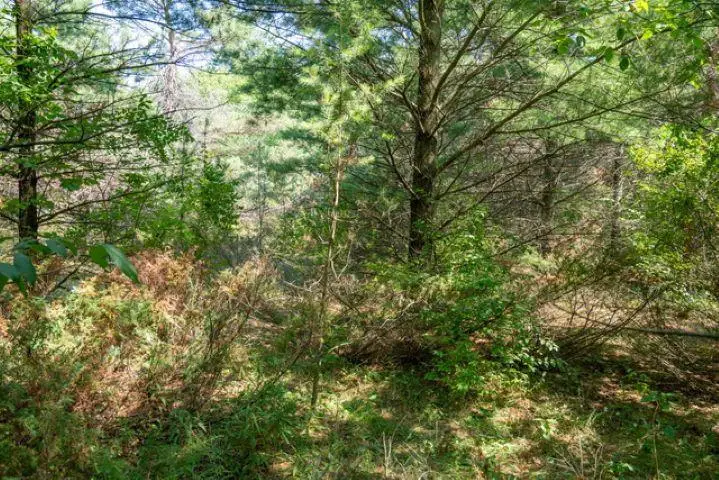 SCANDIA ROAD, Sister Bay, WI 54234 - #2