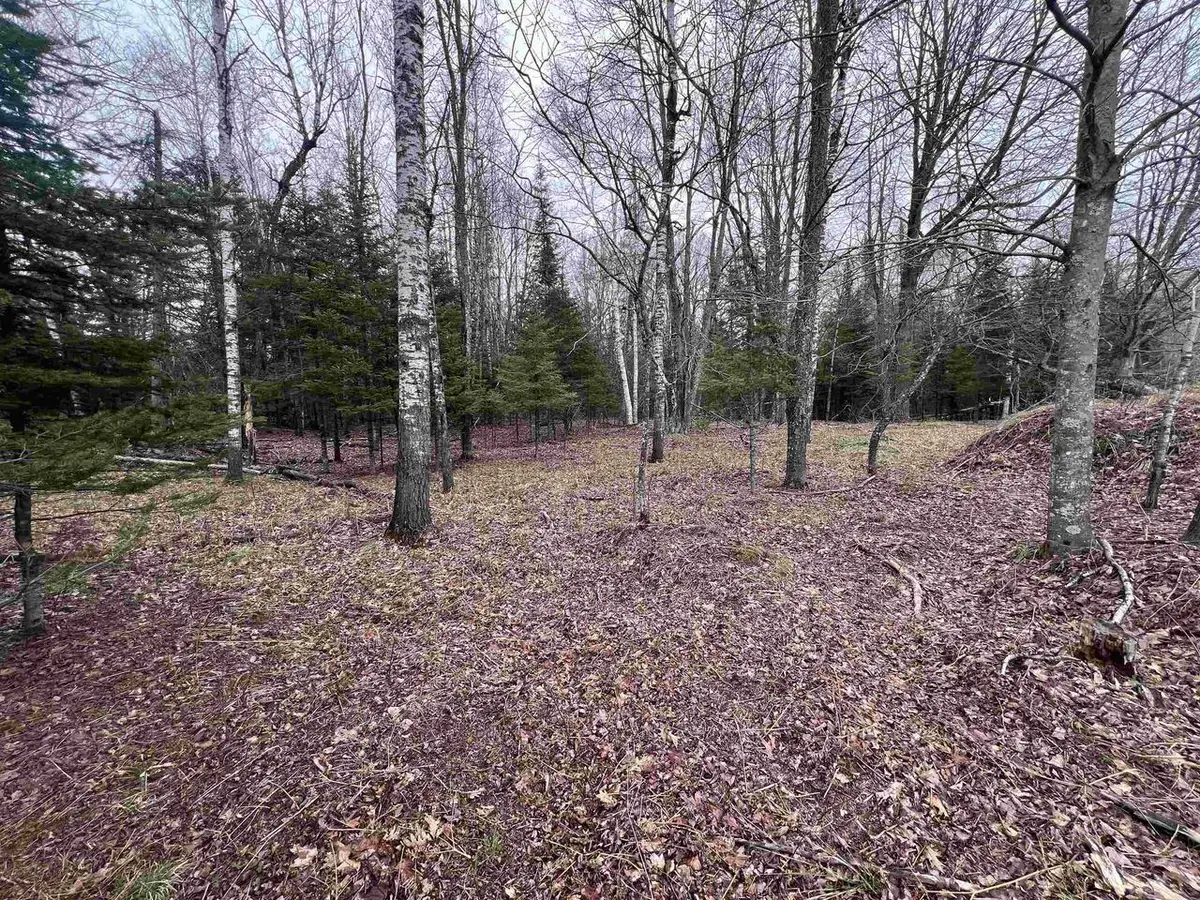 NEJEDLO ROAD, Wausaukee, WI 54177 - #1