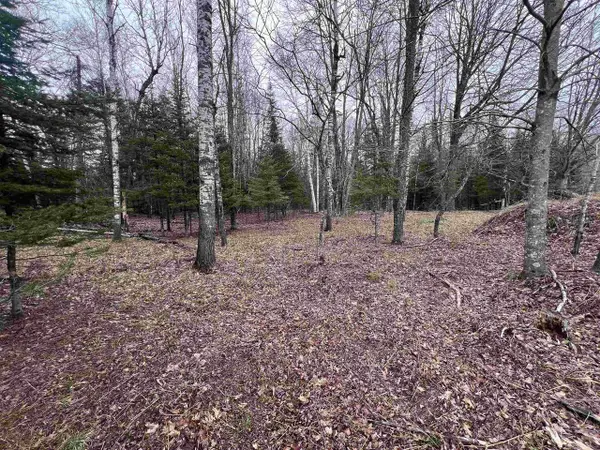 NEJEDLO ROAD, Wausaukee, WI 54177
