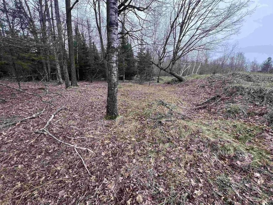 NEJEDLO ROAD, Wausaukee, WI 54177 - #2