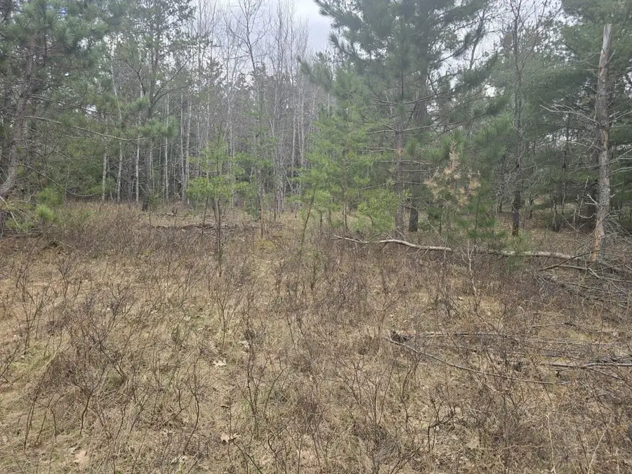 HWY 141, Niagara, WI 54151 - #2