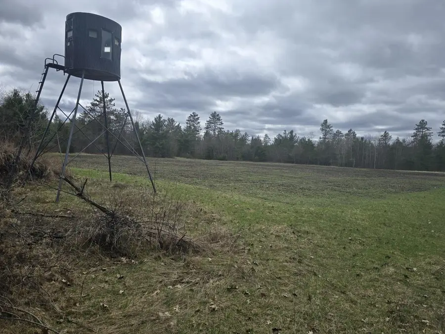 HWY 141, Niagara, WI 54151 - #3