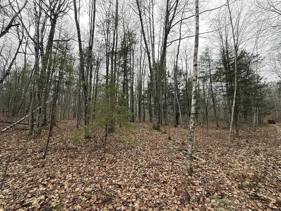 ROUSH ROAD, Wausaukee, WI 54177 - #2