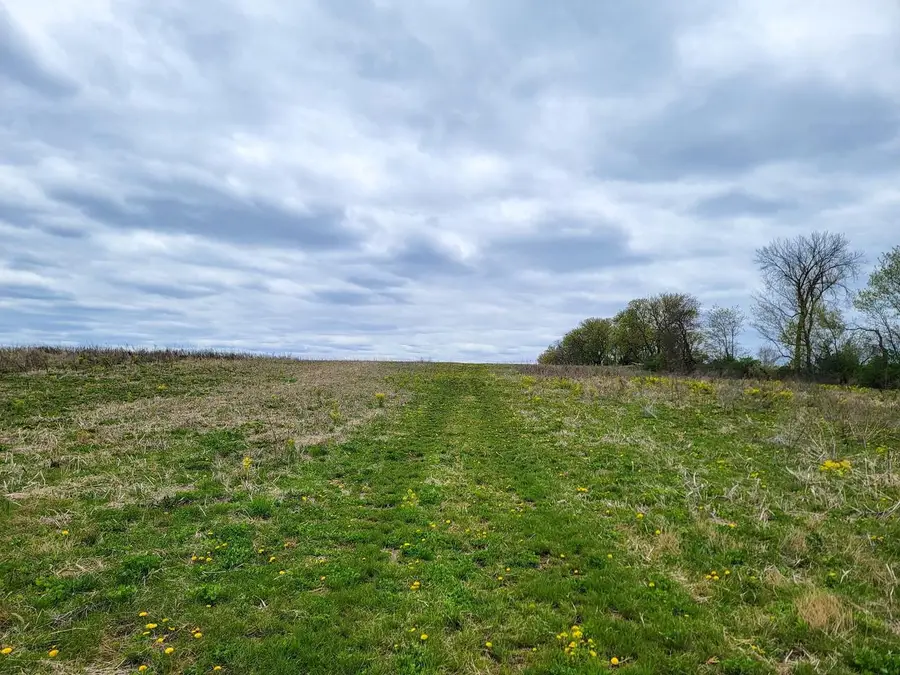 N5495 COUNTY RD B, Manawa, WI 54949 - #2
