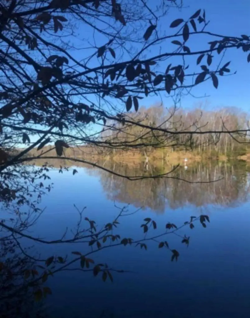 16279 CRESTVIEW DRIVE, Mountain, WI 54149 - #2