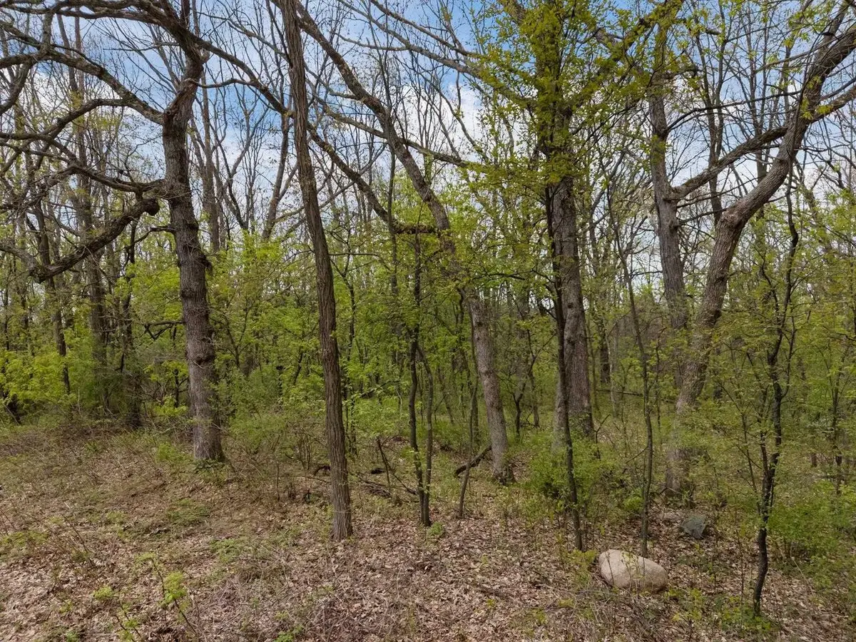 MOREY DRIVE, Waupaca, WI 54981 - #1