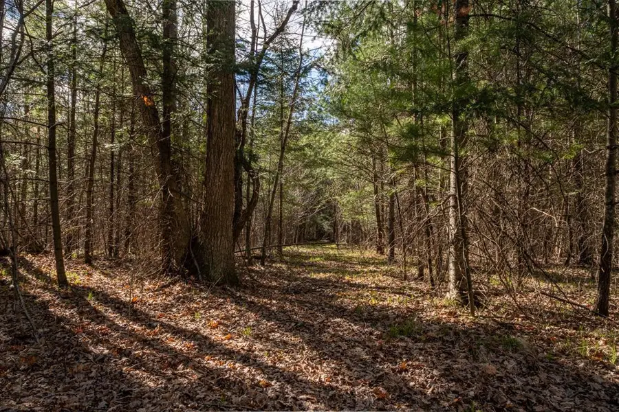 COUNTY ROAD X, Crivitz, WI 54114 - #3