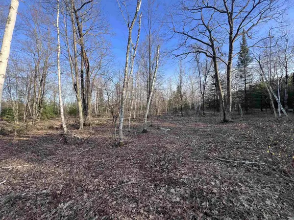 NEJEDLO ROAD, Wausaukee, WI 54177