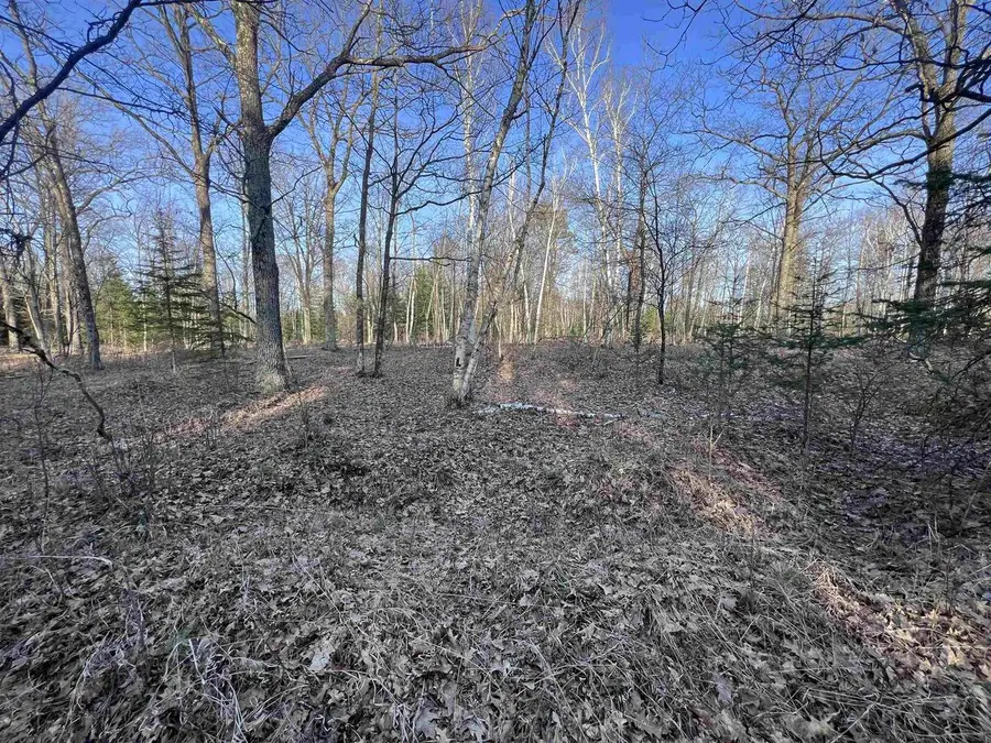 NEJEDLO ROAD, Wausaukee, WI 54177 - #2