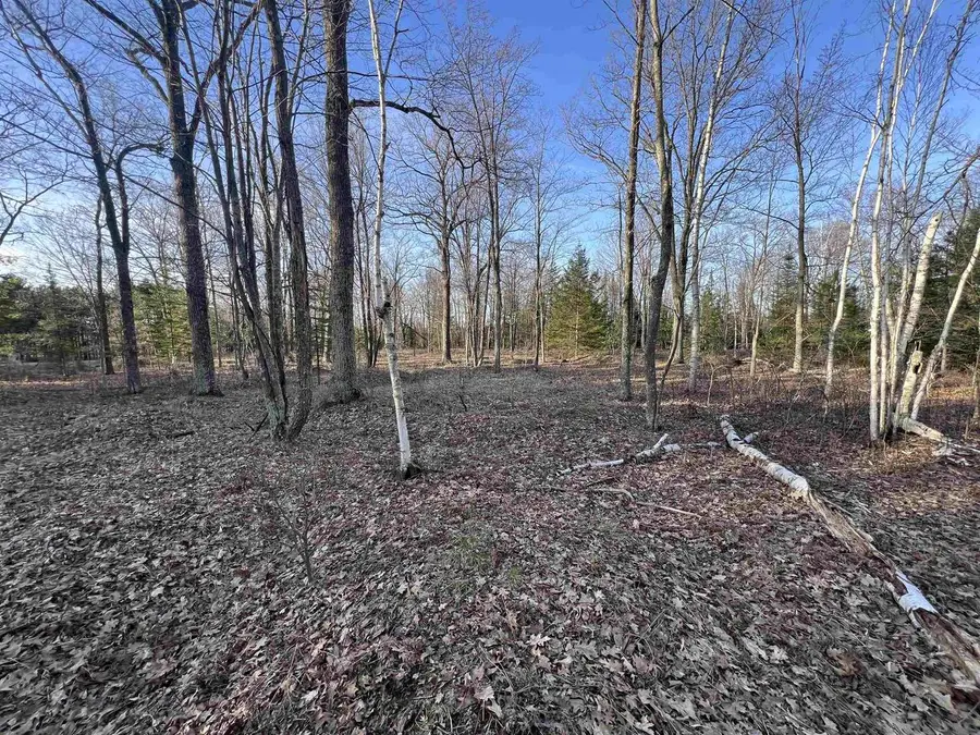 NEJEDLO ROAD, Wausaukee, WI 54177 - #3