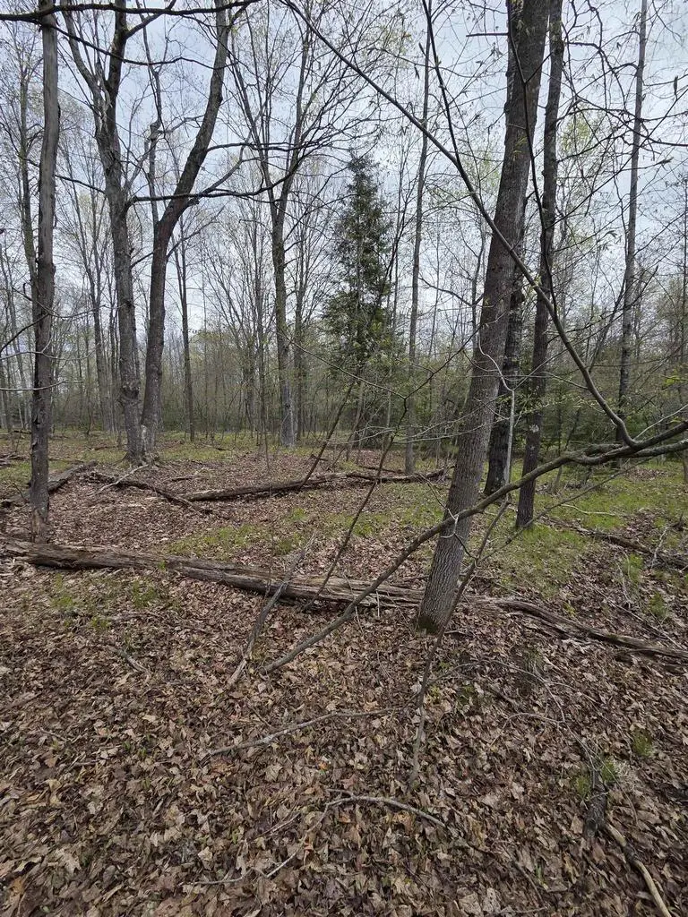 CHAPIN ROAD, Wausaukee, WI 54177 - #1