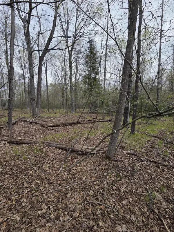 CHAPIN ROAD, Wausaukee, WI 54177