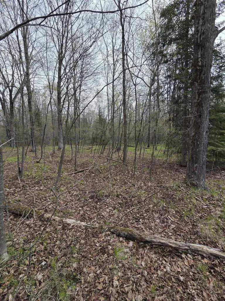 CHAPIN ROAD, Wausaukee, WI 54177 - #2