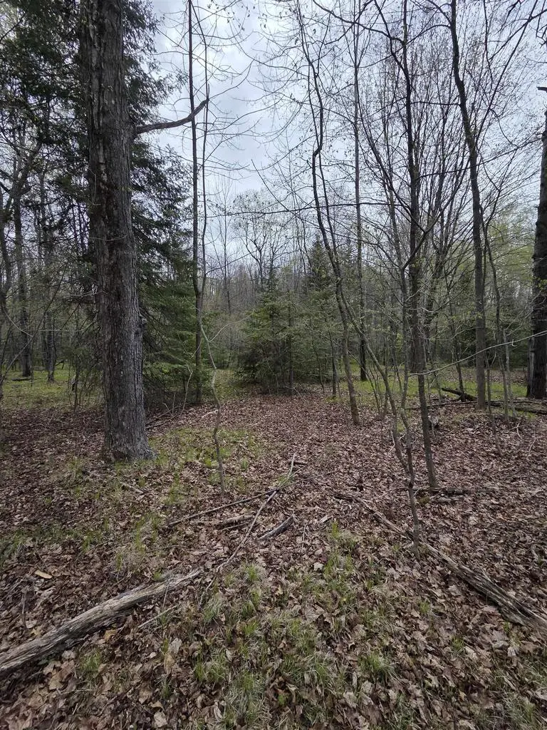 CHAPIN ROAD, Wausaukee, WI 54177 - #3