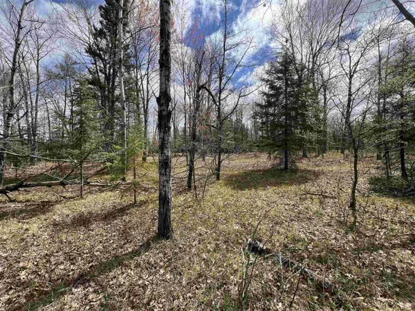 NEJEDLO ROAD, Wausaukee, WI 54177