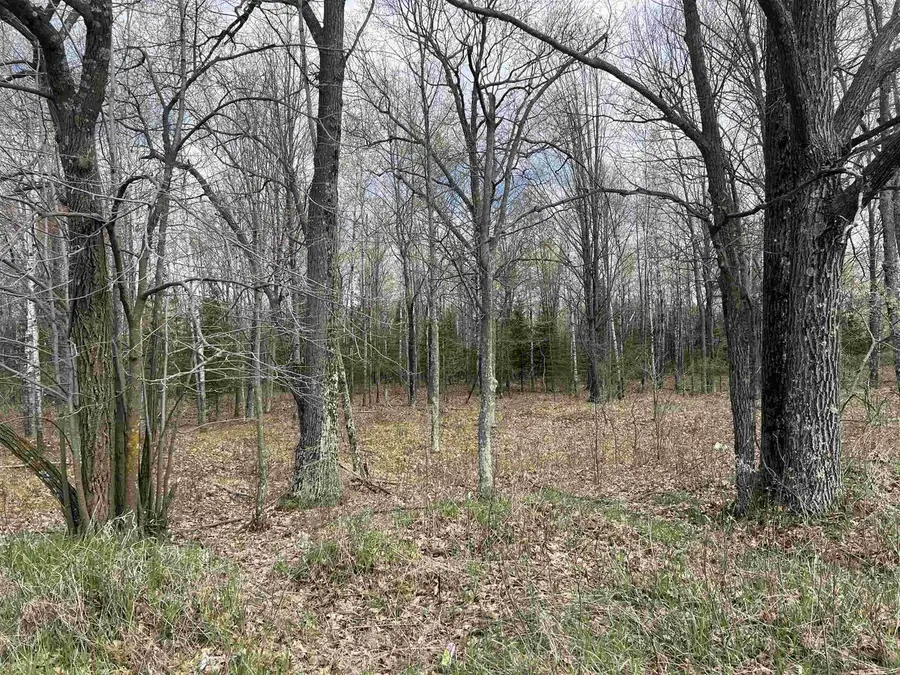 NEJEDLO ROAD, Wausaukee, WI 54177 - #3