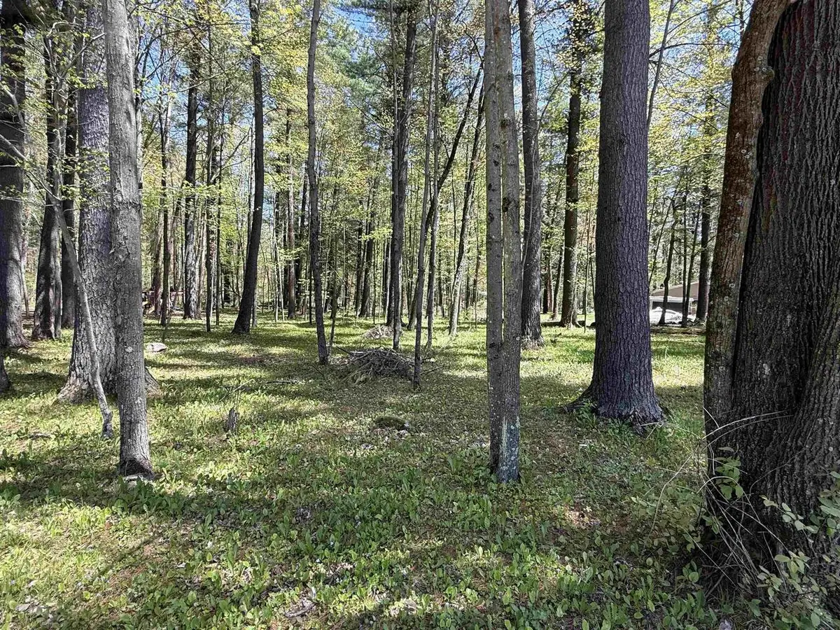 N981 GREY EAGLE TRAIL, Keshena, WI 54135 - #1