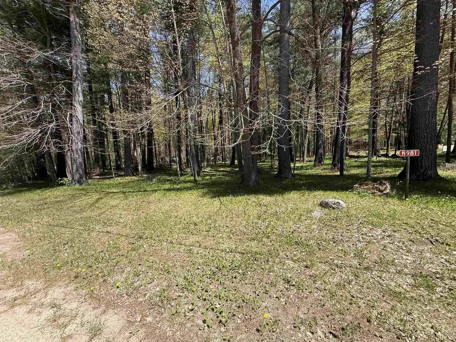 N981 GREY EAGLE TRAIL, Keshena, WI 54135 - #2