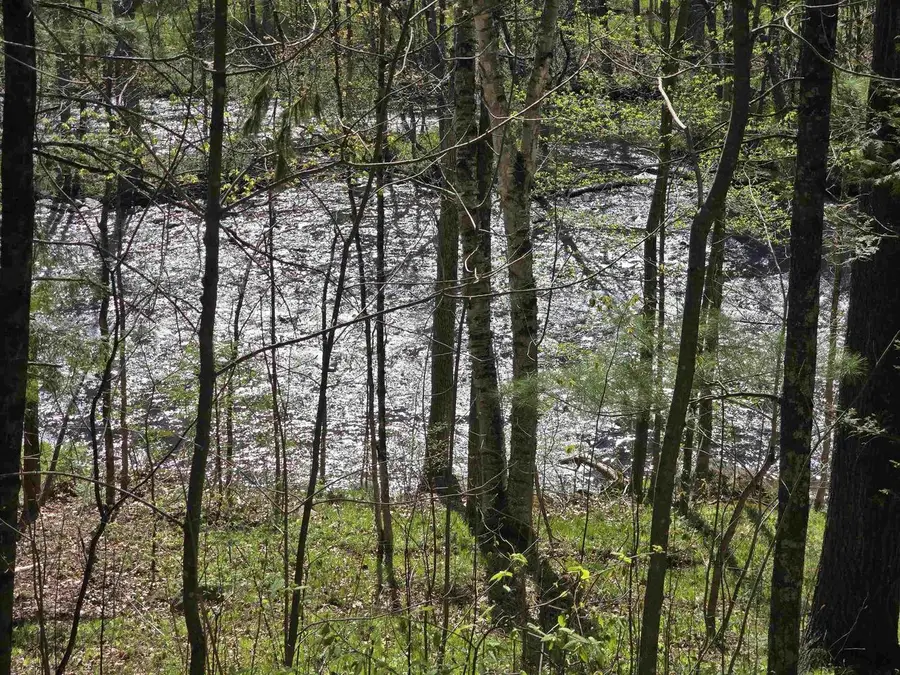 14149 SECTION 4 LANE, Mountain, WI 54149 - #2