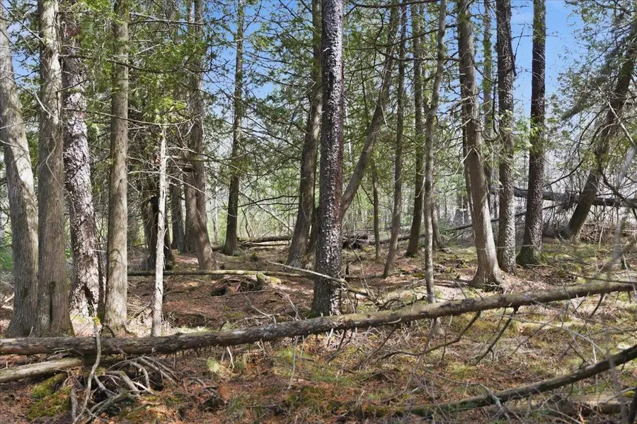 PRATT JUNCTION ROAD, Pelican Lake, WI 54463 - #2