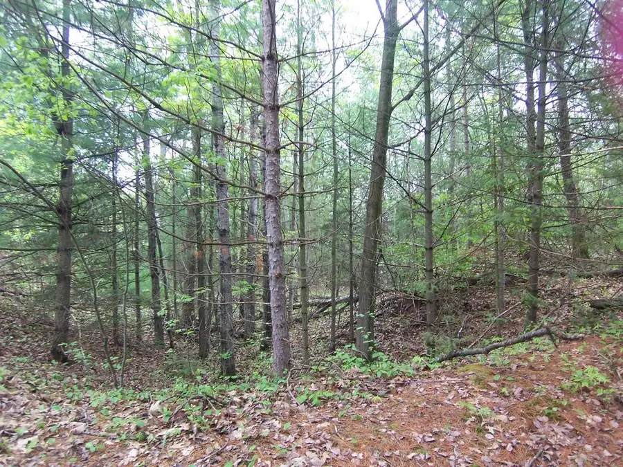 COUNTY ROAD S, Sobieski, WI 54171 - #3
