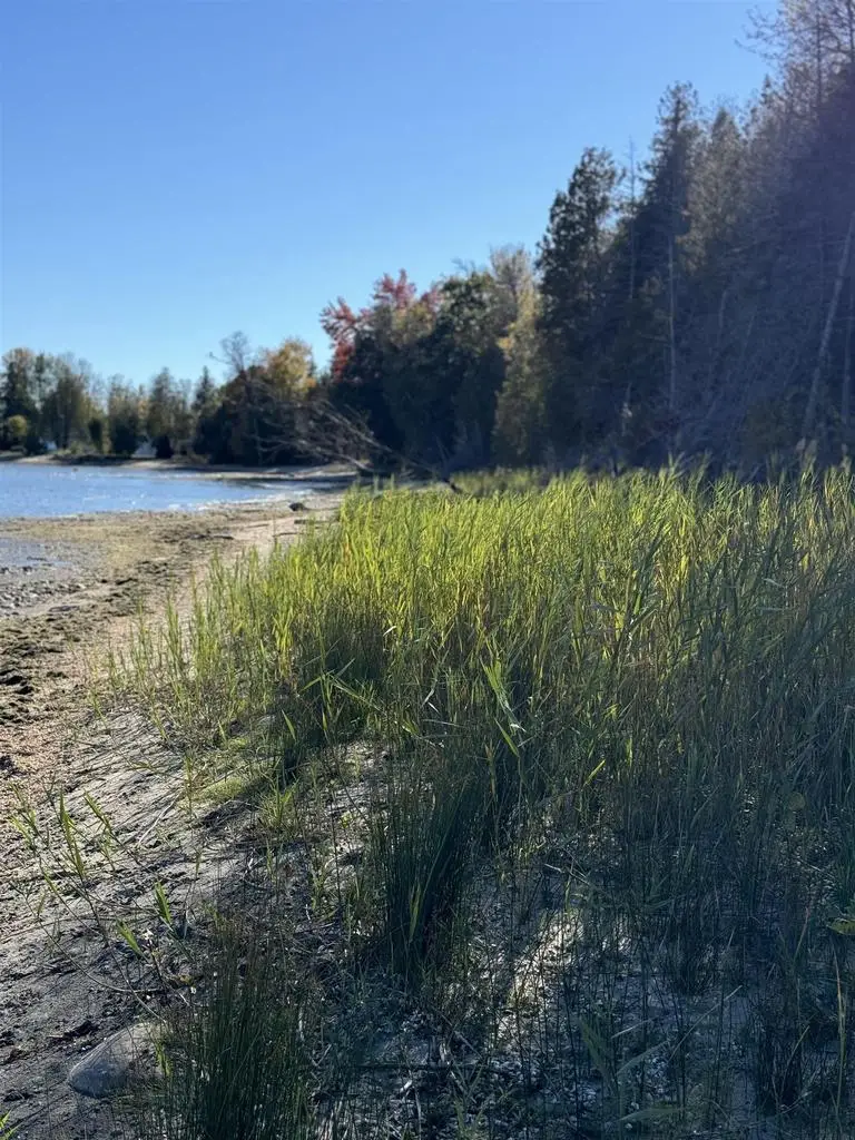 M-35, Menominee, MI 49858 - #2