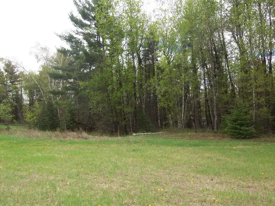 KOSIR LANE, Athelstane, WI 54104 - #3