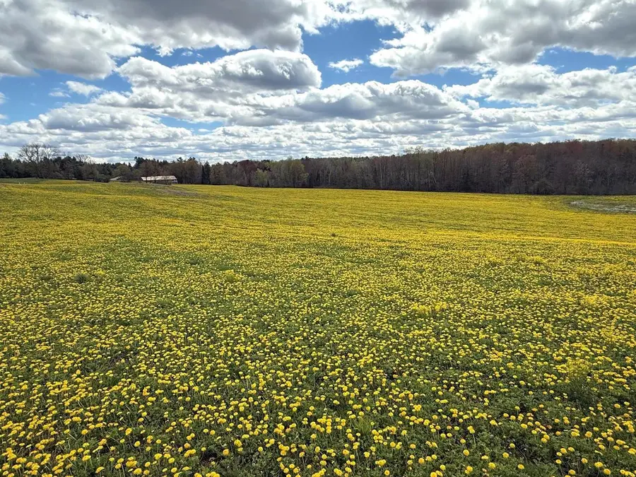 ELM ROAD, Birnamwood, WI 54414 - #3