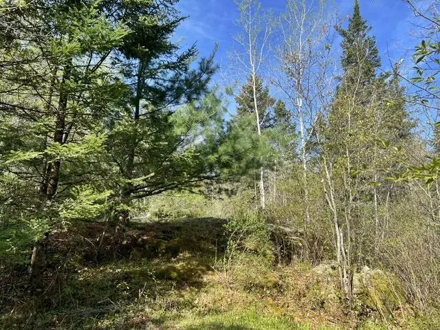W8263 COUNTY RD OO, Pembine, WI 54156 - #3