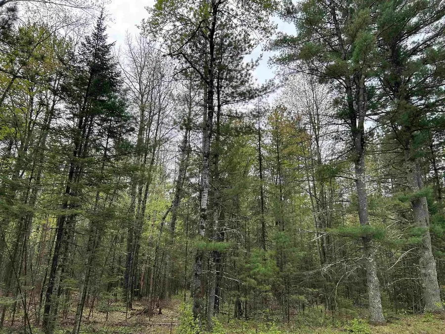 CTH W, White Lake, WI 54491 - #2