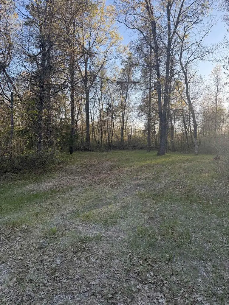HUIGEN LANE, Crivitz, WI 54114 - #3