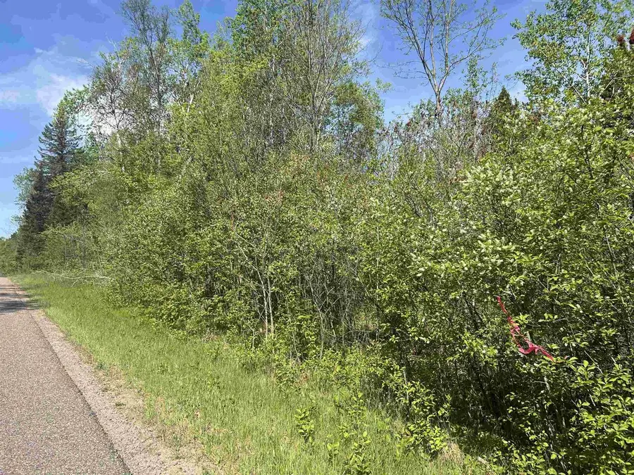 FOREST HILL DRIVE, Townsend, WI 54175 - #3